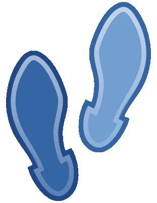 Schritt für Schritt zum neuen TMS